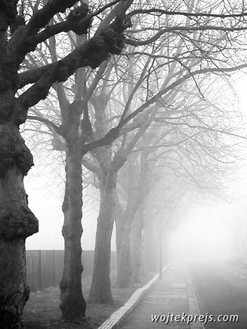 mist in London