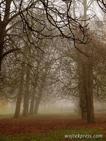 fog in London